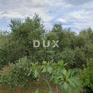 OTOK KRK, KRK (OKOLICA) - građevinski teren s projektom za gradnju kuće u mirnom okruženju na sam 1km od mora!