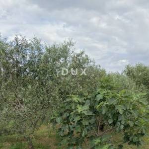 OTOK KRK, KRK (OKOLICA) - građevinski teren s projektom za gradnju kuće u mirnom okruženju na sam 1km od mora!