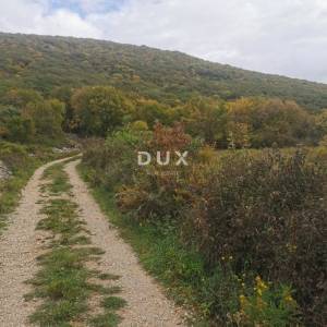 OTOK KRK, PUNAT - Poljoprivredno zemljište