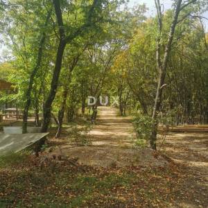 OTOK KRK, PUNAT - Poljoprivredno zemljište