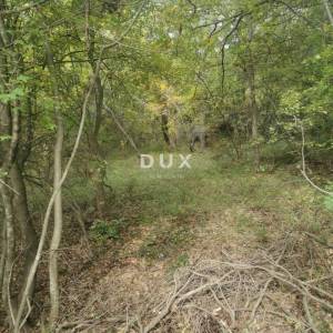 OTOK KRK, PUNAT - Poljoprivredno zemljište