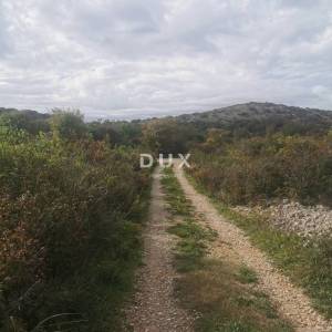 OTOK KRK, PUNAT - Poljoprivredno zemljište