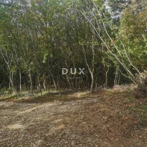 OTOK KRK, PUNAT - Poljoprivredno zemljište