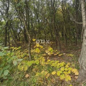 OTOK KRK, PUNAT - Poljoprivredno zemljište