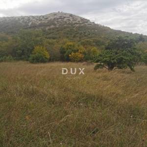 OTOK KRK, PUNAT - Poljoprivredno zemljište