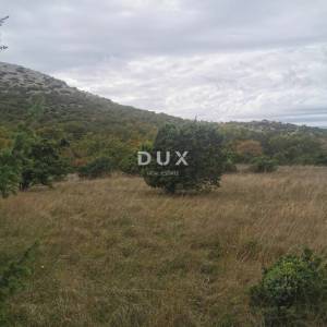 OTOK KRK, PUNAT - Poljoprivredno zemljište