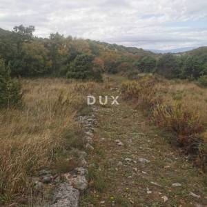 OTOK KRK, PUNAT - Poljoprivredno zemljište