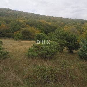 OTOK KRK, PUNAT - Poljoprivredno zemljište