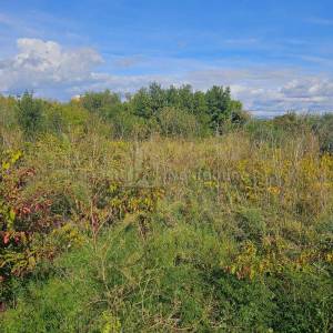 PAŠMAN -BANJ -ATRAKTIVNO GRAĐEVINSKO ZEMLJIŠTE 723m2, 30 m OD MORA