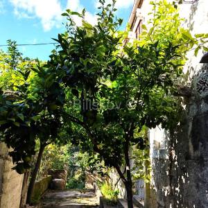 Pelješac, prodaja, kamena kuća i 3 ruševine