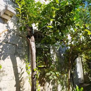 Pelješac, prodaja, kamena kuća i 3 ruševine