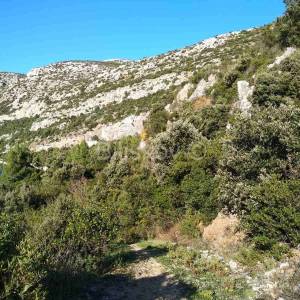 Pelješac, prodaja poljoprivredno zemljište 10897m2 uz plažu