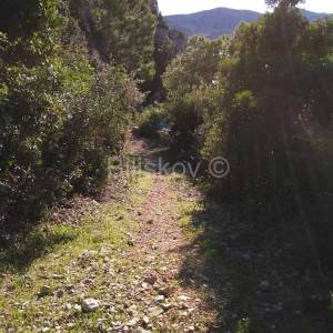 Pelješac, prodaja poljoprivredno zemljište 10897m2 uz plažu