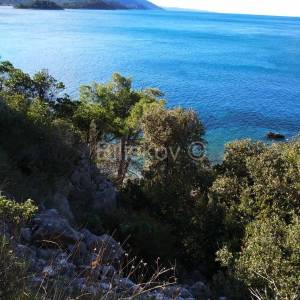 Pelješac, prodaja poljoprivredno zemljište 10897m2 uz plažu