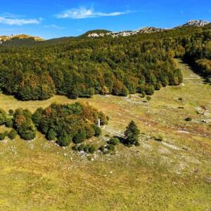 Platak, Soboli, 6.349,00 m2, 675.000,00 EUR