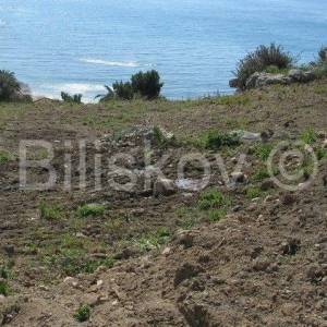Podstrana, Grljevac 1623 m2, M2 zona, pogled na more