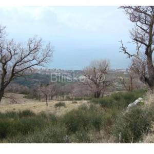 Podstrana prodaja zemljište pogled na more projekt za vilu