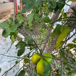 POLAČA, KAKMA - Prostrana kuća s tri stana u mirnom okruženju