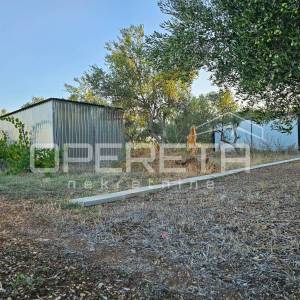 Poljoprivredno zemljište nadomak plaže, 570 m², Kaštel Štafilić