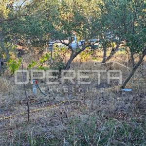 Poljoprivredno zemljište nadomak plaže, 570 m², Kaštel Štafilić