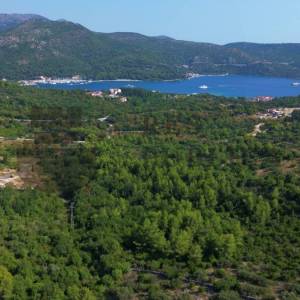 POLJOPRIVREDNO ZEMLJIŠTE NA PRODAJU - DUBROVAČKO PRIMORJE 