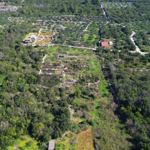 POLJOPRIVREDNO ZEMLJIŠTE U JANJINI