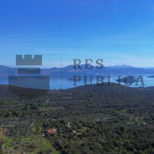 POLJOPRIVREDNO ZEMLJIŠTE U JANJINI