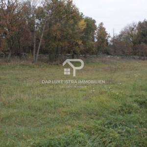 Poljoprivredno zemljište pravilnog oblika uz cestu - Tinjan, Istra