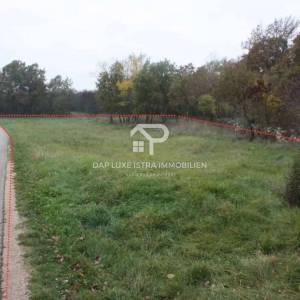 Poljoprivredno zemljište pravilnog oblika uz cestu - Tinjan, Istra