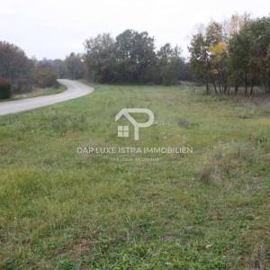 Poljoprivredno zemljište pravilnog oblika uz cestu - Tinjan, Istra