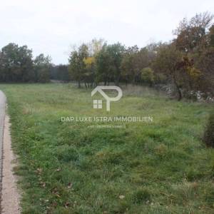 Poljoprivredno zemljište pravilnog oblika uz cestu - Tinjan, Istra