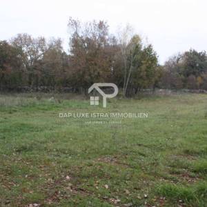 Poljoprivredno zemljište pravilnog oblika uz cestu - Tinjan, Istra