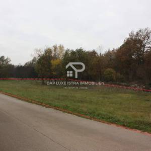 Poljoprivredno zemljište pravilnog oblika uz cestu - Tinjan, Istra