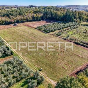 
Poreč - atraktivno poljoprivredno zemljište s infrastrukturom i maslinikom