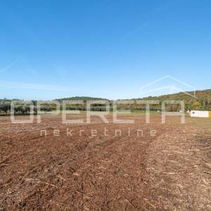 
Poreč - atraktivno poljoprivredno zemljište s infrastrukturom i maslinikom