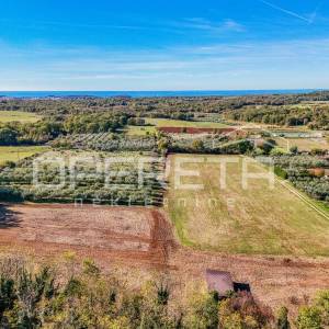 
Poreč - atraktivno poljoprivredno zemljište s infrastrukturom i maslinikom