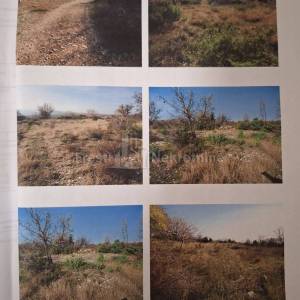 POSEDARJE- GRAĐEVINSKO 4279m2 -200.000 eura