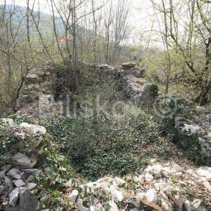 Prapatnica, zemljište s kamenim objektima 2,5 ha.
