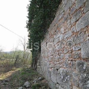 Prapatnica, zemljište s kamenim objektima 2,5 ha.