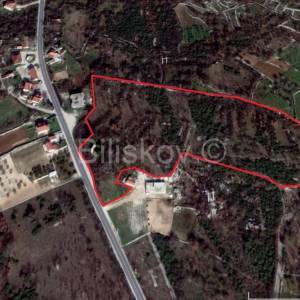 Prapatnica, zemljište s kamenim objektima 2,5 ha.