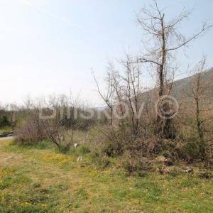 Prapatnica, zemljište s kamenim objektima 2,5 ha.