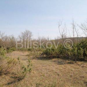 Prapatnica, zemljište s kamenim objektima 2,5 ha.