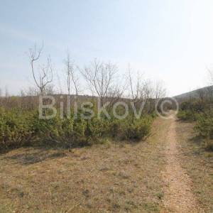 Prapatnica, zemljište s kamenim objektima 2,5 ha.