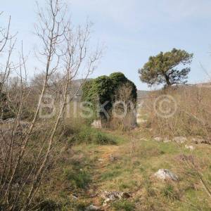 Prapatnica, zemljište s kamenim objektima 2,5 ha.