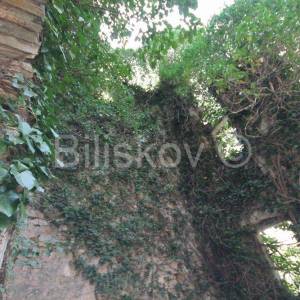 Prapatnica, zemljište s kamenim objektima 2,5 ha.