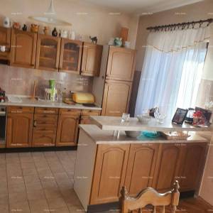 Predivna kuća s 3 stana i velikim zemljištem, Labin!