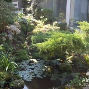 Prekrasna kuća u Banjolama sa vrtom iz snova!!!!