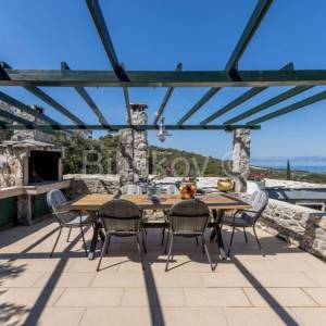 Prekrasno, samoodrživo imanje s kućom za najam i velikim maslinikom.