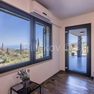 Prekrasno, samoodrživo imanje s kućom za najam i velikim maslinikom.