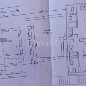 Prekrasno, samoodrživo imanje s kućom za najam i velikim maslinikom.